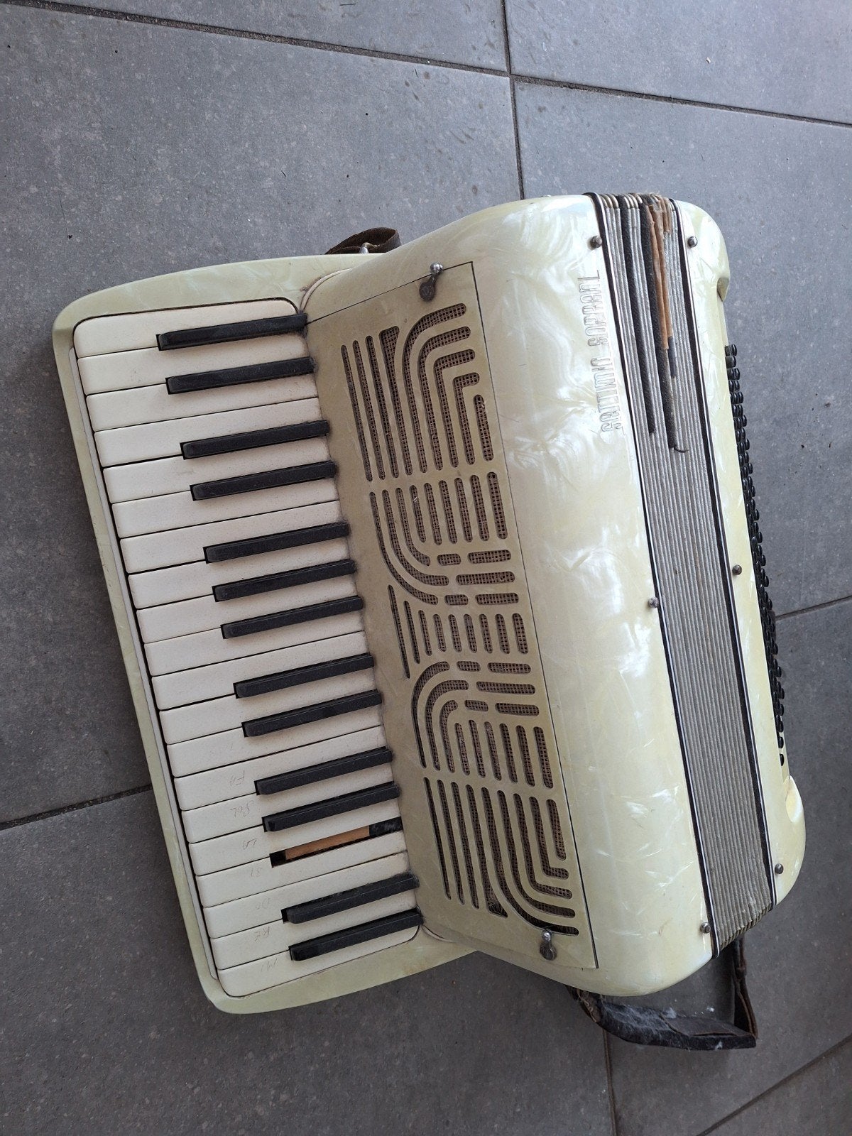 Vintage accordeon, Musique & Instruments, Enlèvement