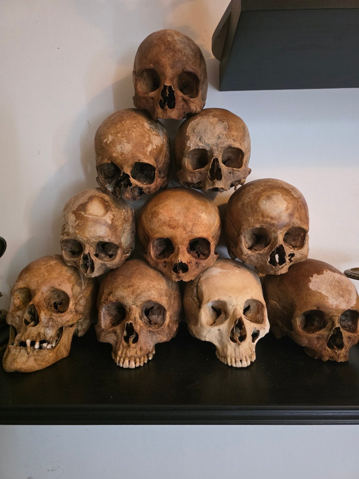 menselijke schedels en dijbeen medische studiedoeleinde skul, Antiek en Kunst, Antiek | Overige Antiek, Ophalen of Verzenden