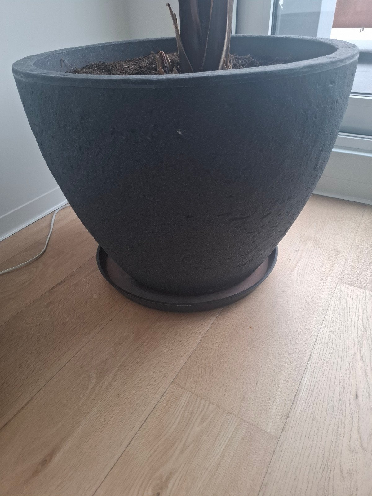 grote bloempot voor binnenshuis of op terras,doorsnee 60 cm, Tuin en Terras, Ophalen, 40 cm of meer, Binnen, 40 tot 70 cm