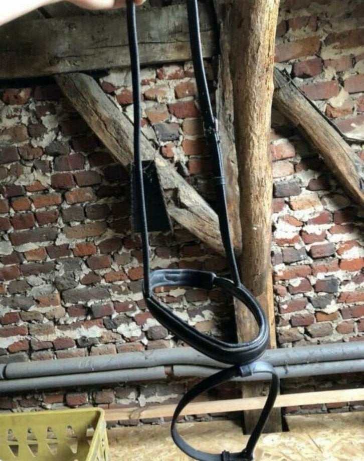 Neusriem, Dieren en Toebehoren, Ophalen, Gebruikt