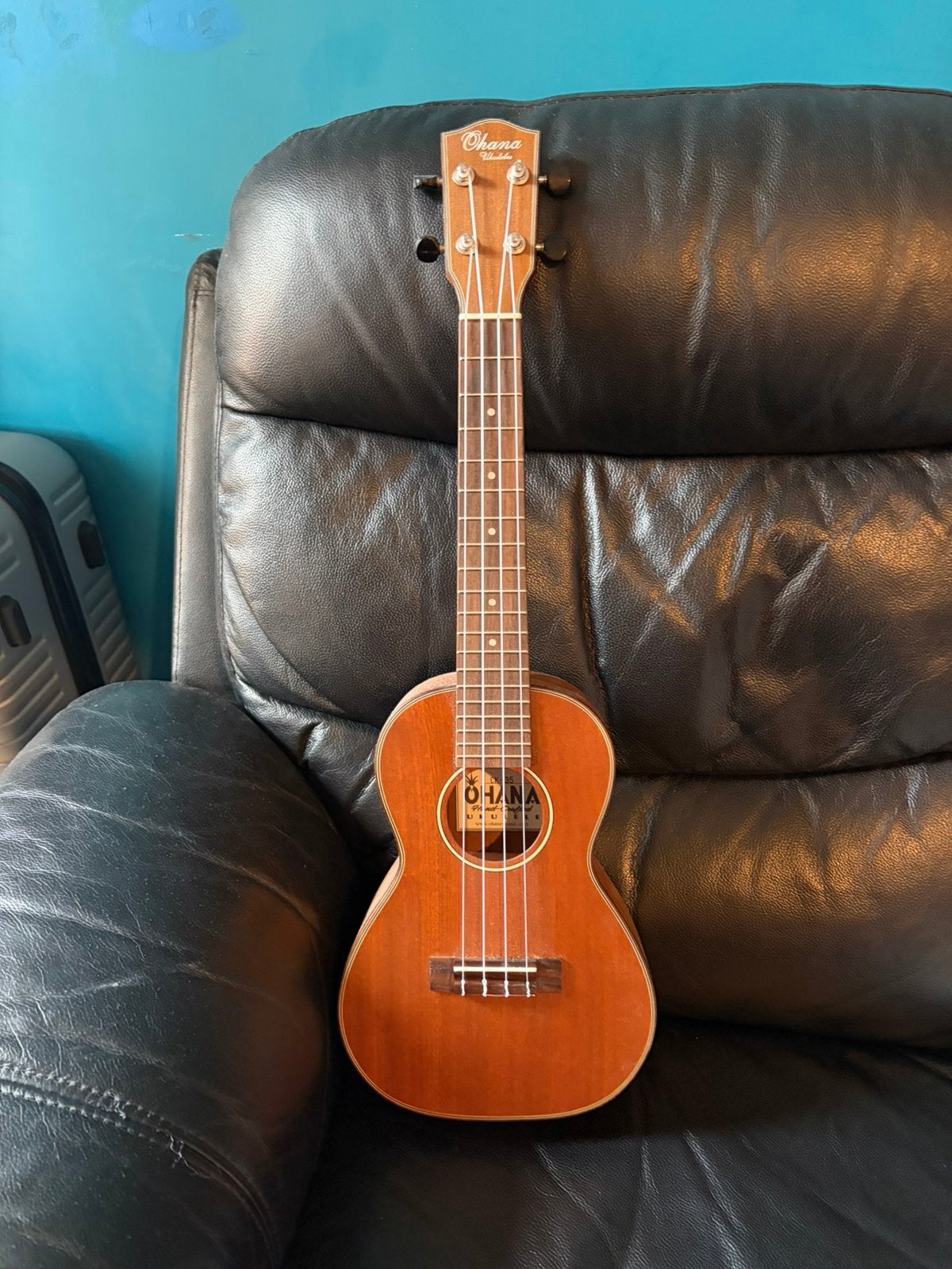Ohana CK-35 concertukelele, Muziek en Instrumenten, Ophalen, Nieuw