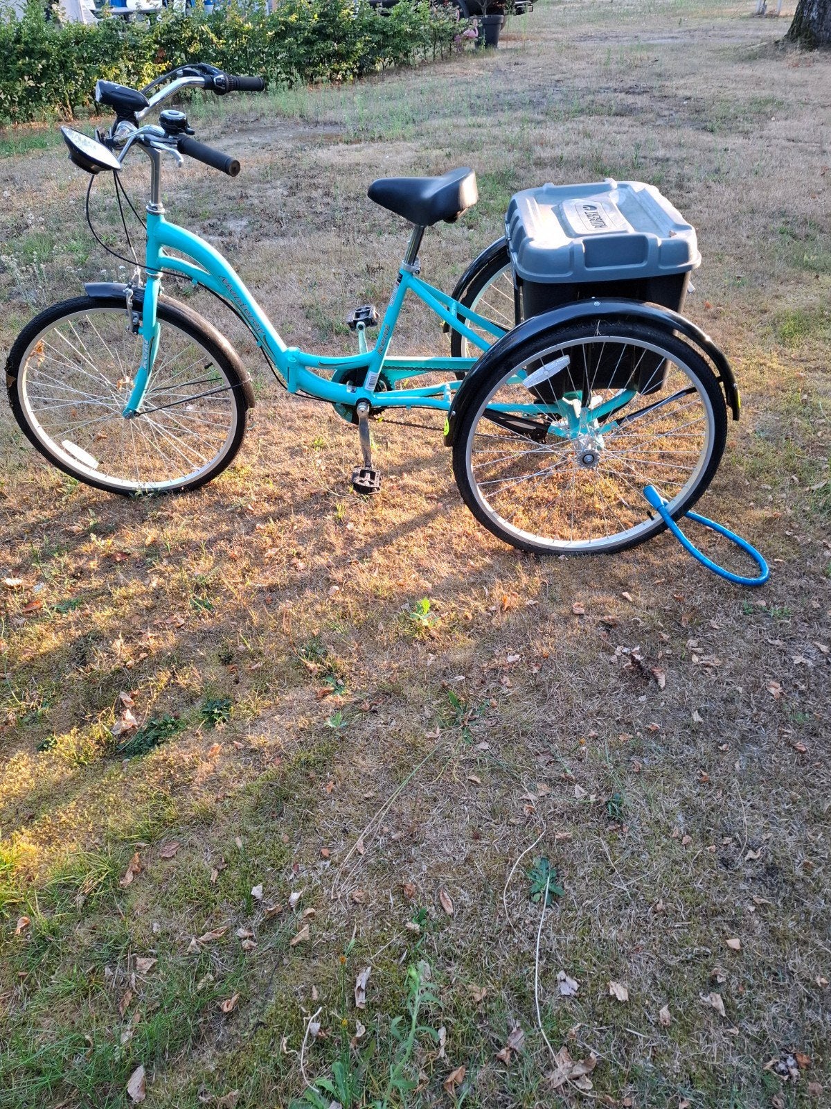 driewieler voor volwassen, Ophalen, Zo goed als nieuw, Velgrem