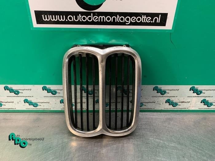 Grille van een BMW 5-Serie (5-Serie 81-) (NVT), Gebruikt, -, -, Ophalen of Verzenden
