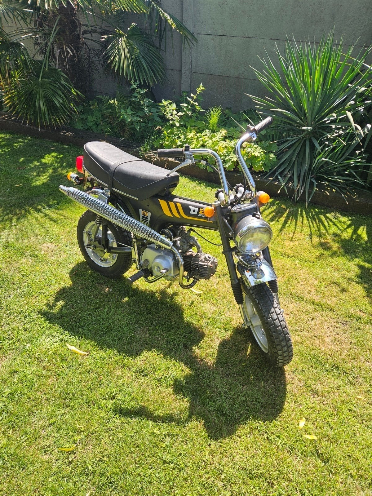 honda dax origineel, Fietsen en Brommers, Brommers | Honda, Ophalen, Gebruikt, Overige modellen, 49 cc