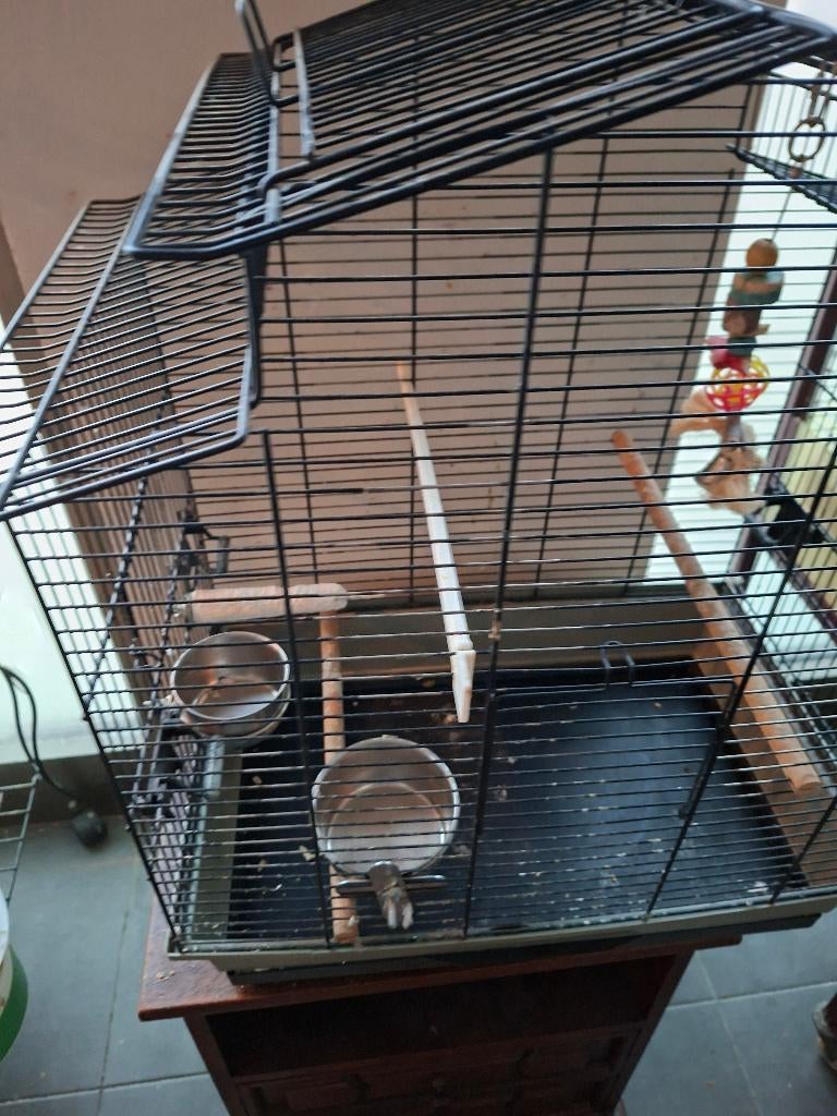 Te koop, Ophalen, Zo goed als nieuw, Metaal, Vogelkooi