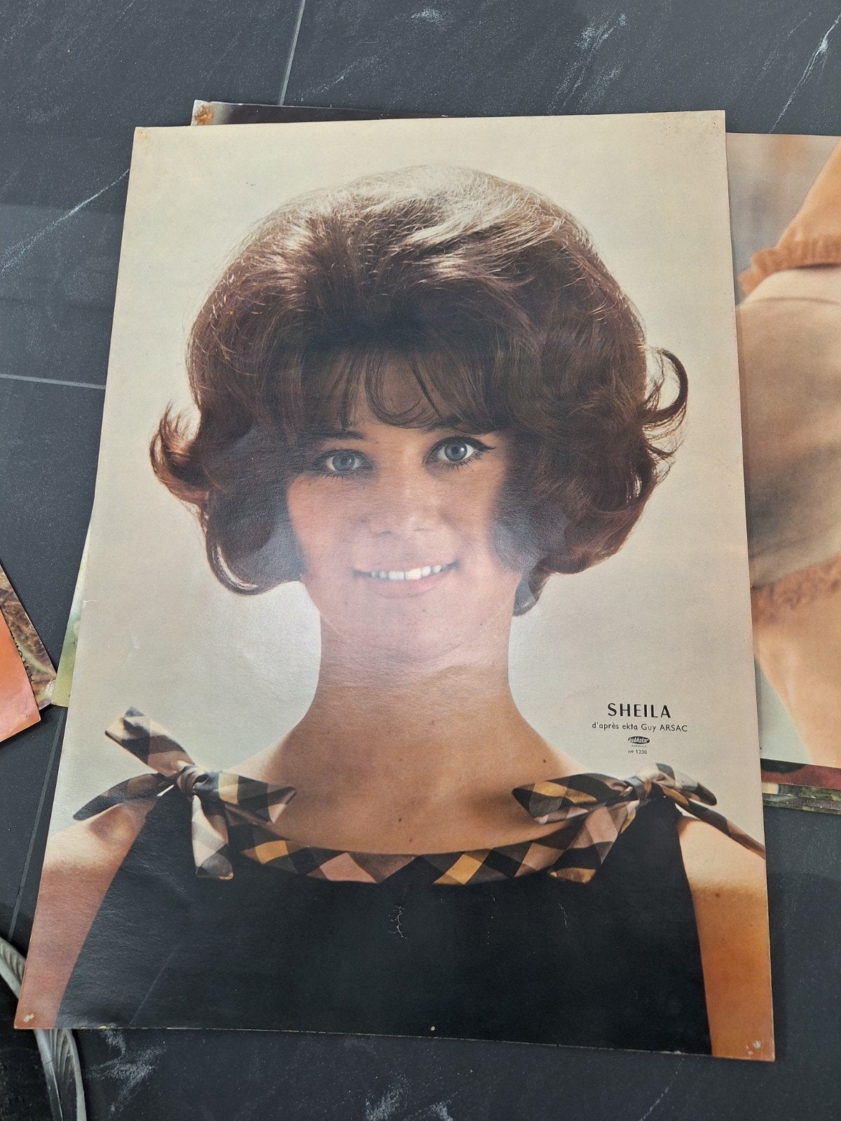 Ancienne affiche de Sheila, Collections, Enlèvement ou Envoi