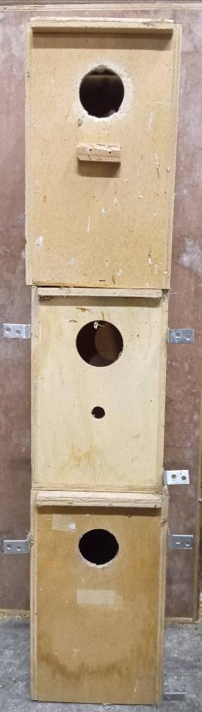 3 broedblokken parkieten, Dieren en Toebehoren, Parkiet