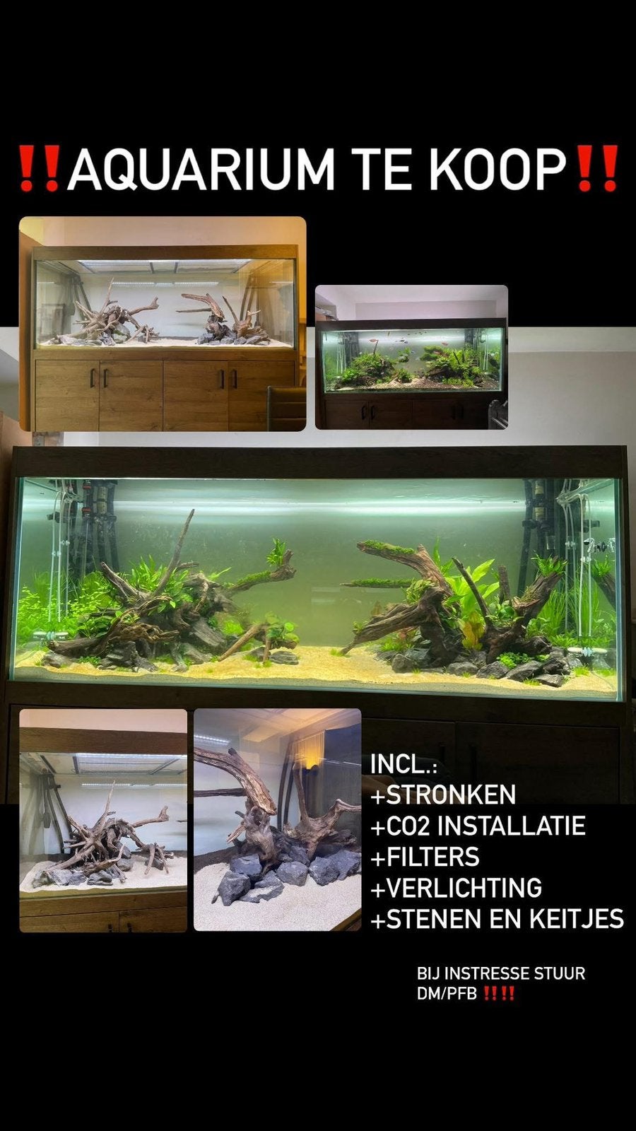 Grand aquarium à vendre, Animaux & Accessoires, Poissons | Aquariums & Accessoires, Utilisé, Enlèvement