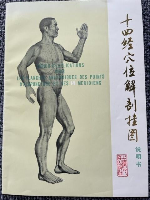 acupunctuur posters, Ophalen, Zo goed als nieuw