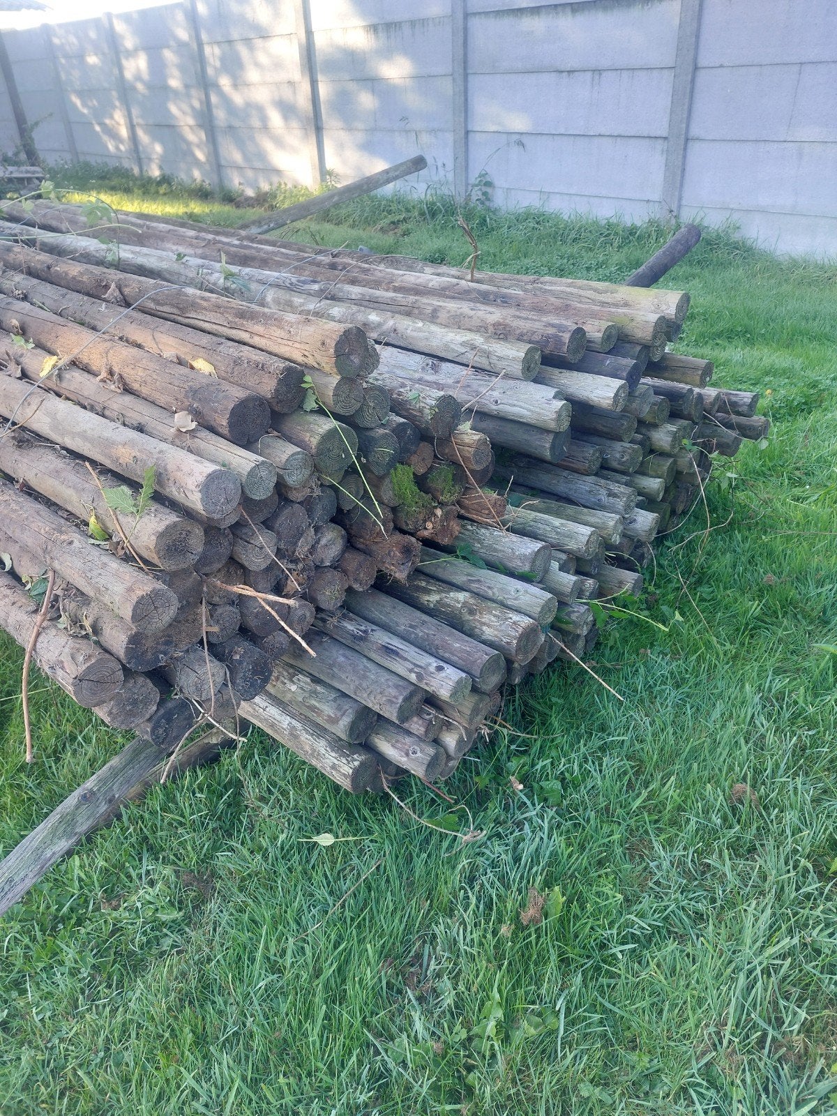 plantage palen, Tuin en Terras, Ophalen, Gebruikt, 250 cm of meer, Palen
