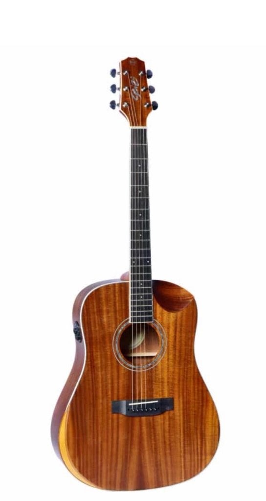 Guitare transacoustic, Musique & Instruments, Instruments à corde | Guitares | Acoustiques, Enlèvement, Comme neuf, Autres types