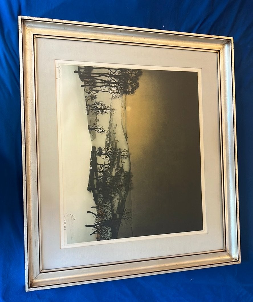 Schilderij valerius de saedeleer, Ophalen, Realistisch, Achter glas, Landschap