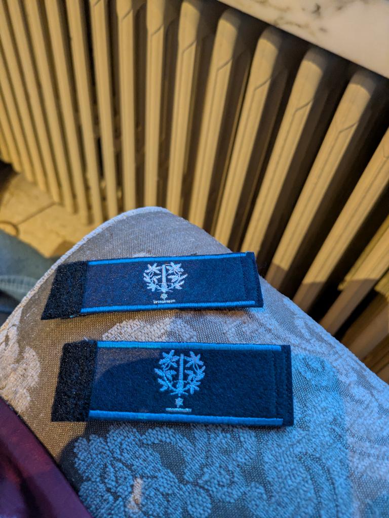 Hoofdinspecteur politie borst, Ophalen of Verzenden, Rijkswacht, Embleem of Badge