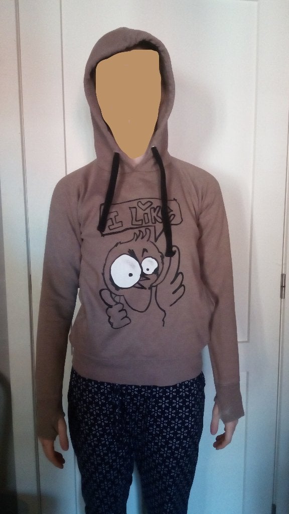 appel's , 2 sweats a 5 euros la pièce taille 14 ans, Kinderen en Baby's, Kinderkleding | Maat 164, Ophalen of Verzenden