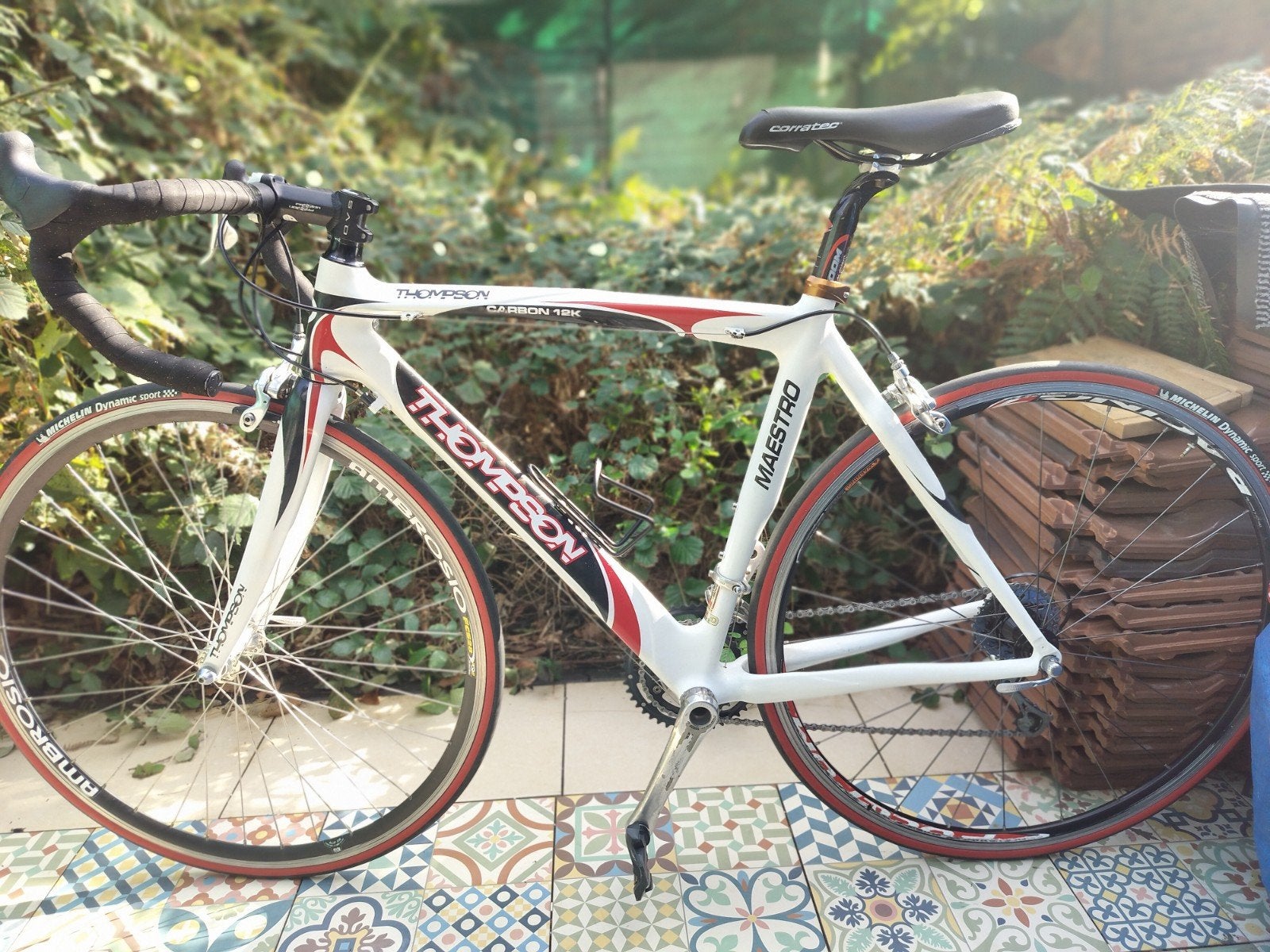 Vélo Thompson de course Carbone Bon état., Ophalen of Verzenden, Carbon