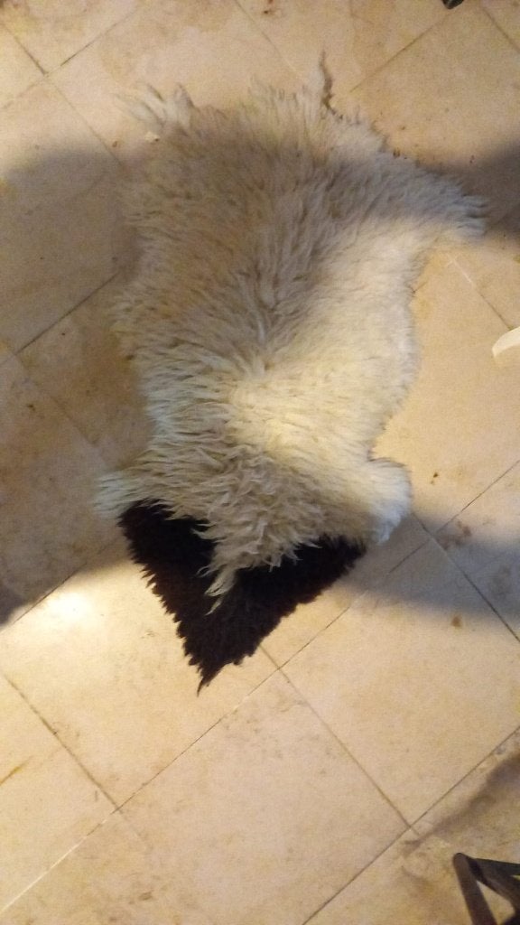 Peau de mouton 100 sur 60, Enlèvement, Utilisé, Animal de ferme, Autres types