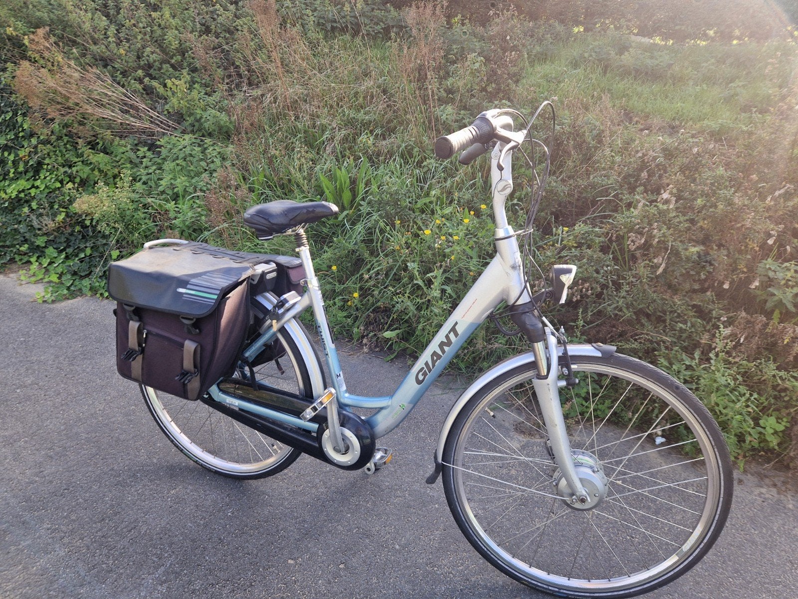 Giant electronics dames fiets, Fietsen en Brommers, Ophalen, Giant