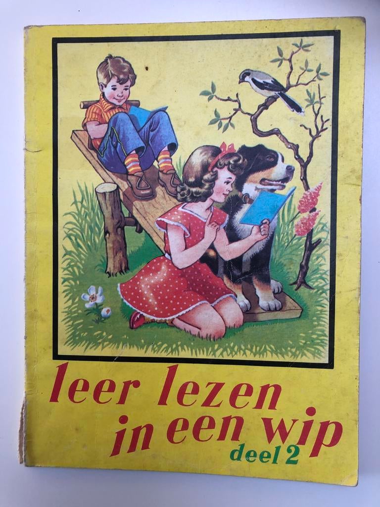 Leer lezen in een wip - Deel 2, Boeken, Ophalen of Verzenden, Gelezen, Fictie algemeen