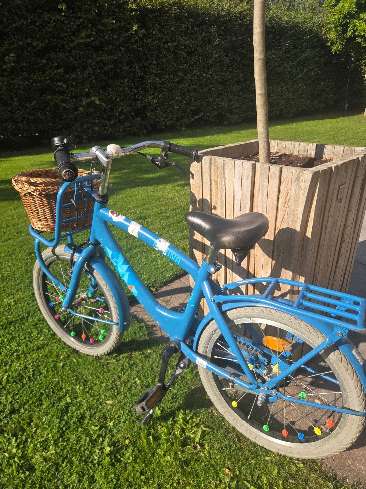 kinderfiets Alpina blauw, Fietsen en Brommers, Ophalen