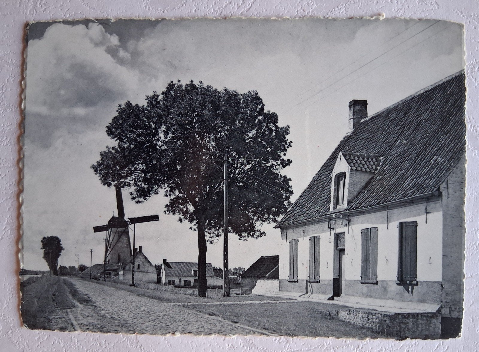 vintage Postkaart De Molen van Damme, Ophalen of Verzenden