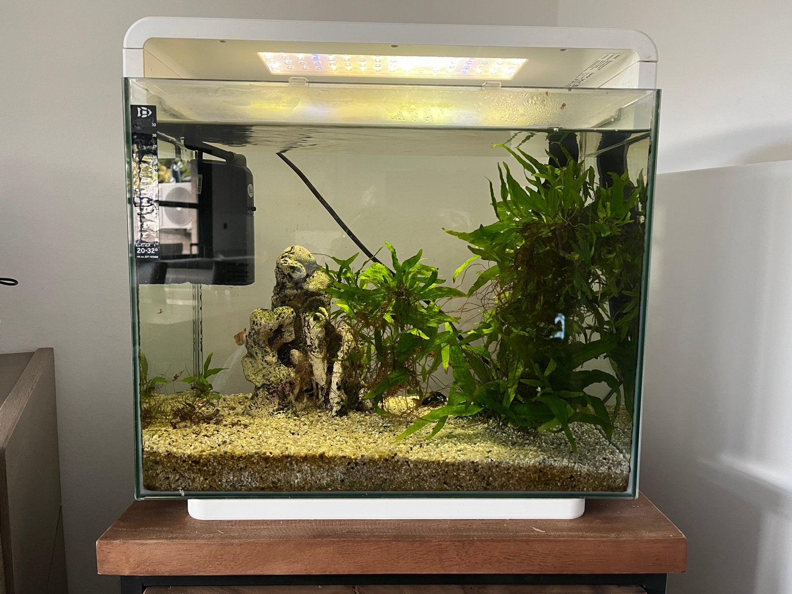 Aquarium + pomp en 3 vissen, Dieren en Toebehoren, Ophalen, Pomp, Zo goed als nieuw