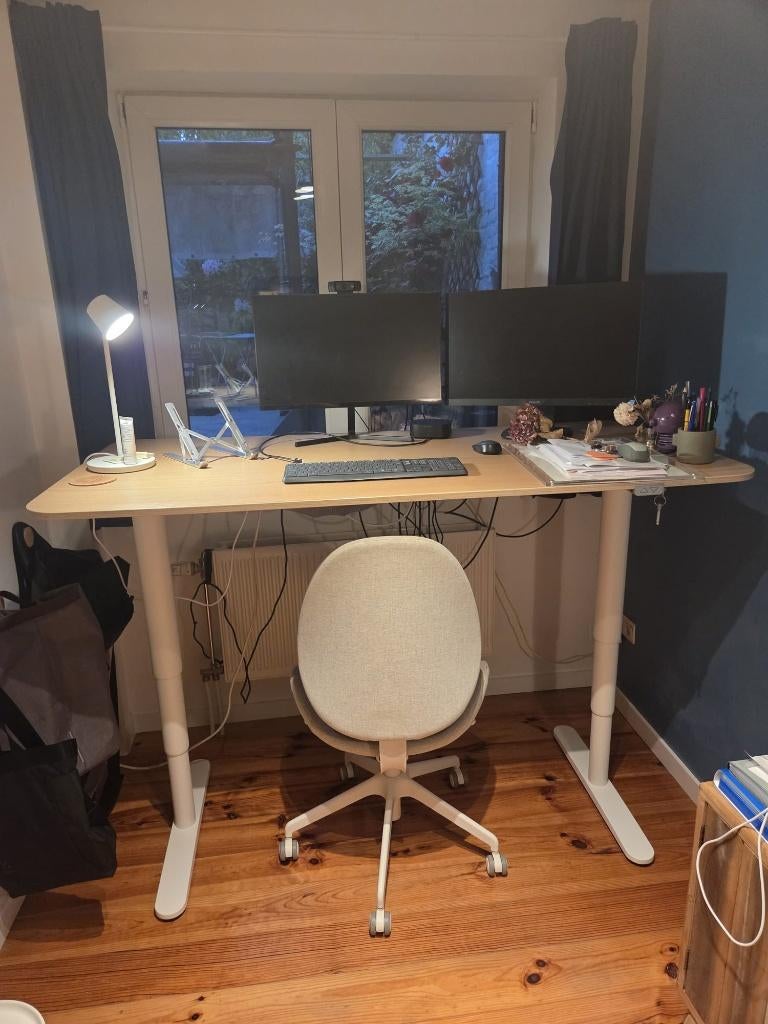 Electric Adjustable Desk 16080 cm – Perfect Condition, 160 cm, Électrique, Bureau assis-debout, Comme neuf