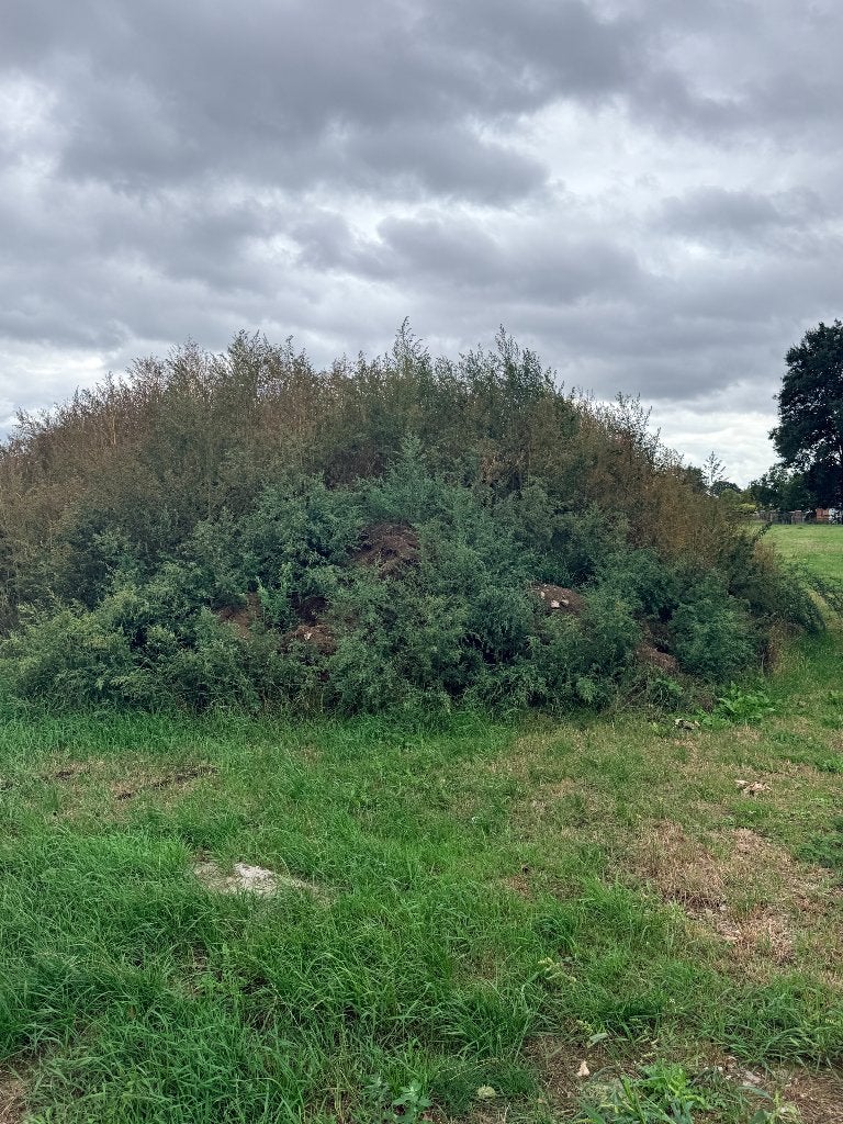 Zwarte opvulgrond gratis af te halen, Tuin en Terras, Zand, Ophalen