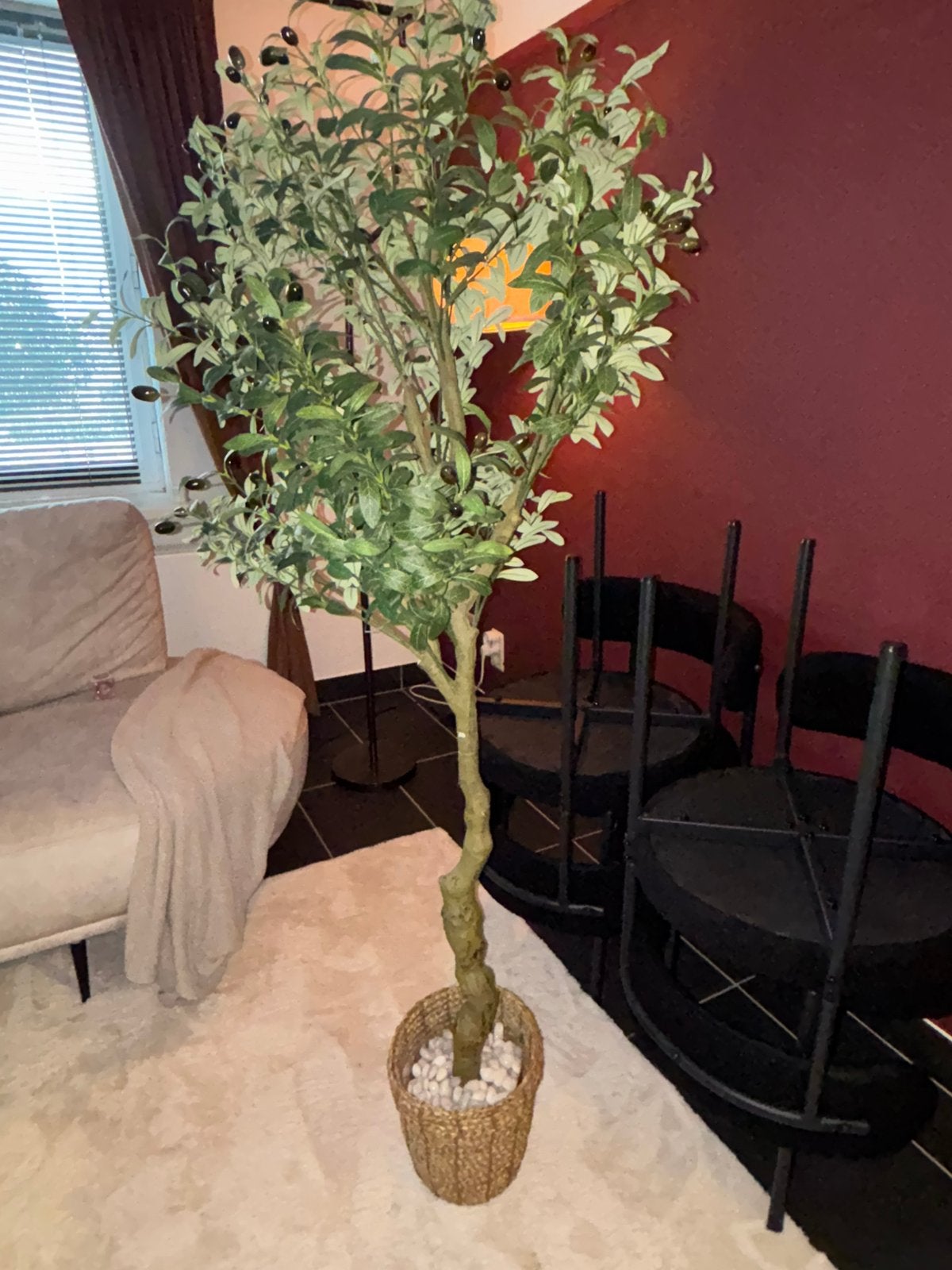 Plant deco, Maison & Meubles, Plantes d'intérieur, Enlèvement