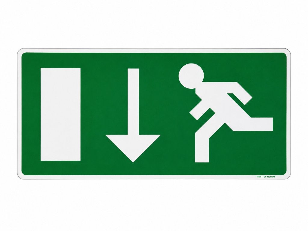 Pikt-O-Norm Nooduitgang Bord 30x15 | Meerdere stuks, Doe-het-zelf en Bouw, Overige Doe-Het-Zelf en Bouw, Nieuw, Ophalen of Verzenden