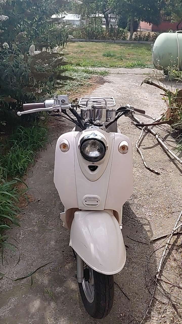 Neco di lucio, Ophalen, Gebruikt, Benzine