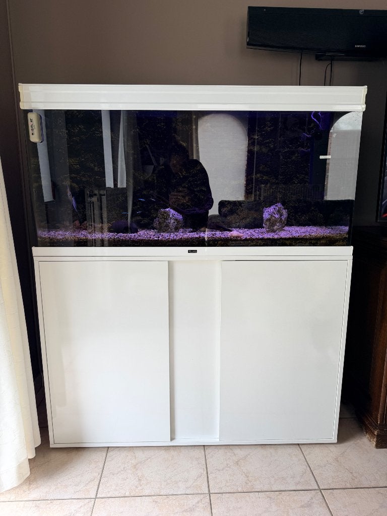 Aquarium, Animaux & Accessoires, Poissons | Aquariums & Accessoires, Enlèvement, Utilisé, Aquarium d'eau douce rempli, Aquatlantis