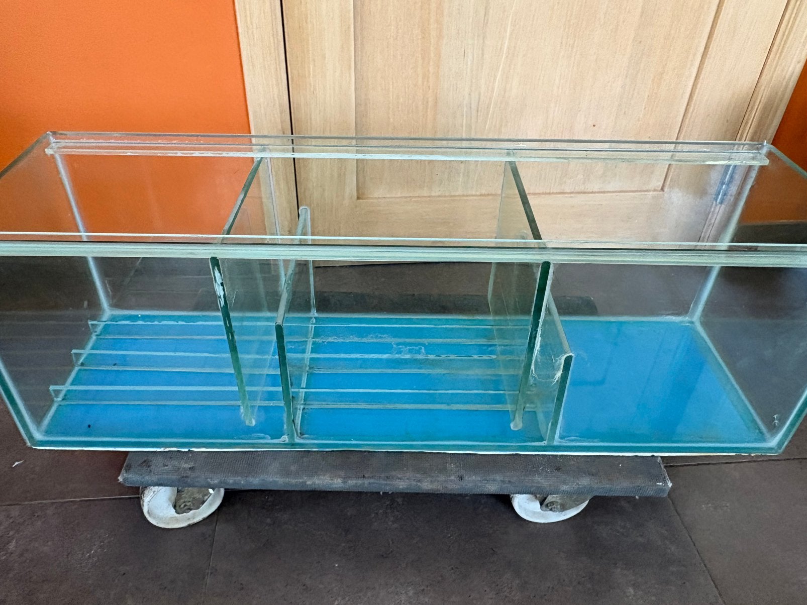 Sump (open filter aquarium), Enlèvement, Utilisé, Aquarium vide, Autres marques