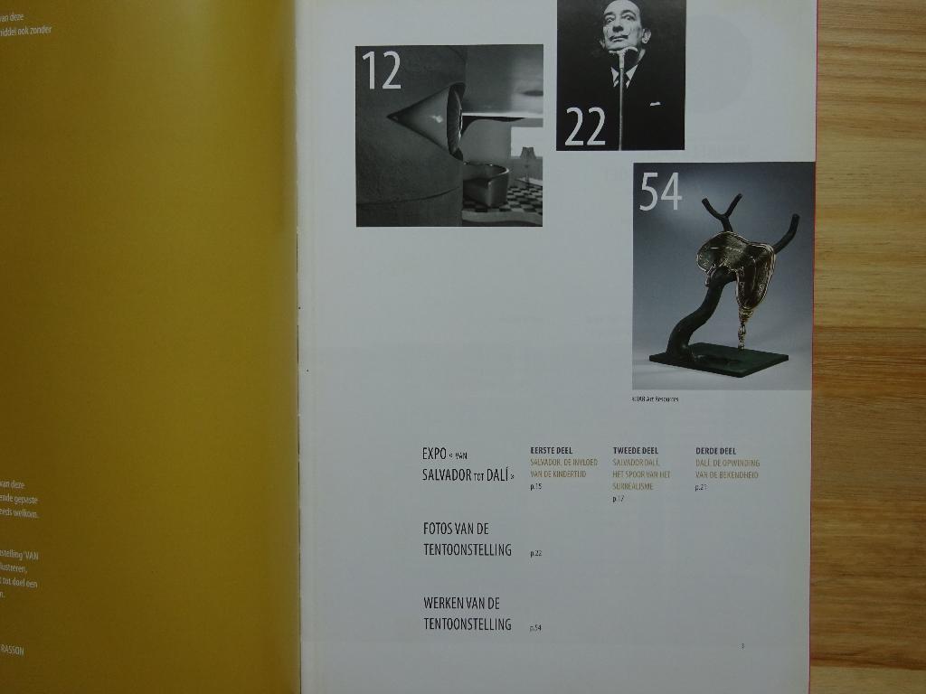 van Salvador tot Dali, 2016, Europa 50 cvbz-50  - Luik, Enlèvement, Comme neuf, Peinture et dessin