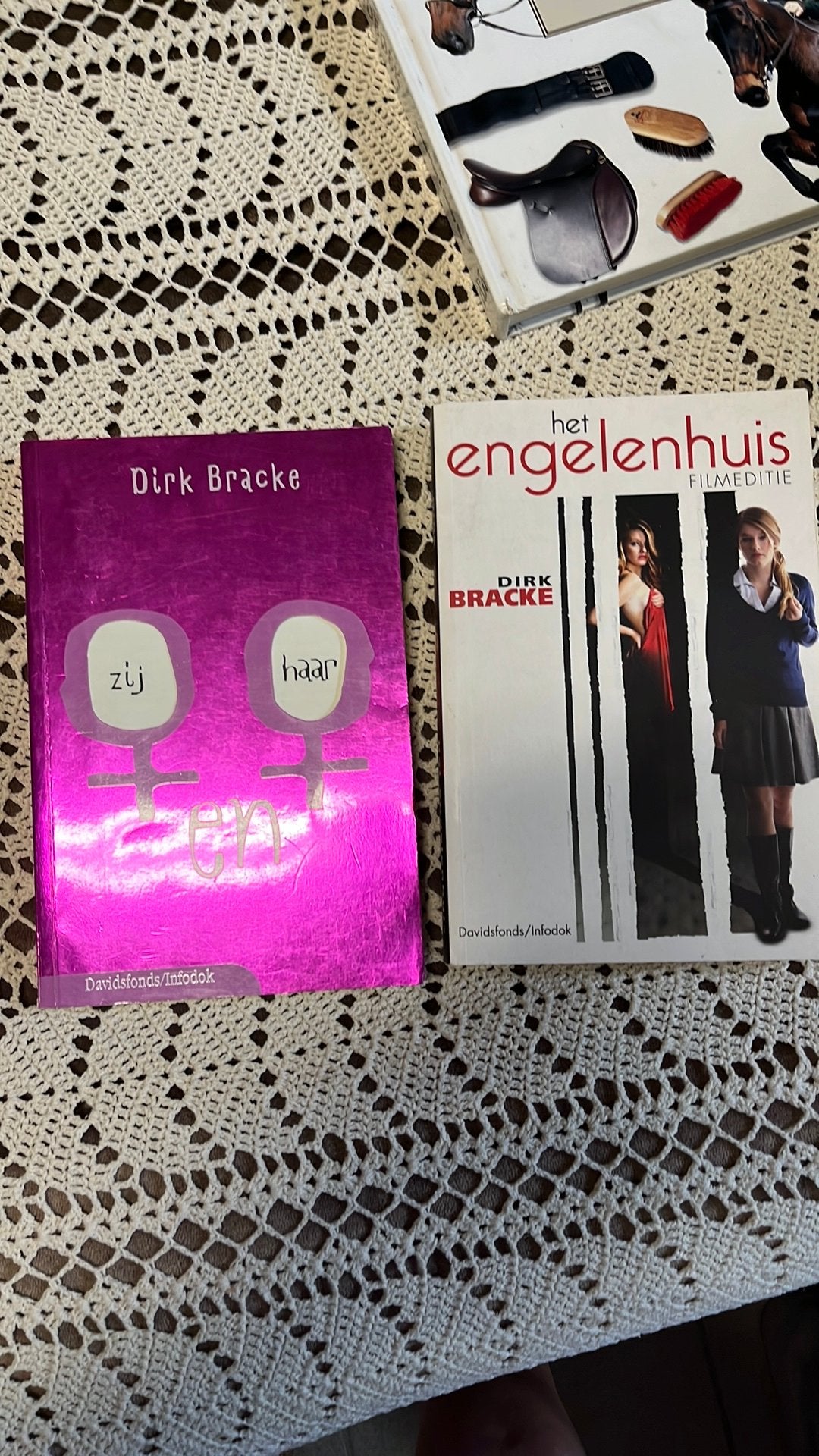 Dirk Bracke - Het Engelenhuis, Livres, Livres pour enfants | Jeunesse | 13 ans et plus, Enlèvement ou Envoi, Dirk Bracke