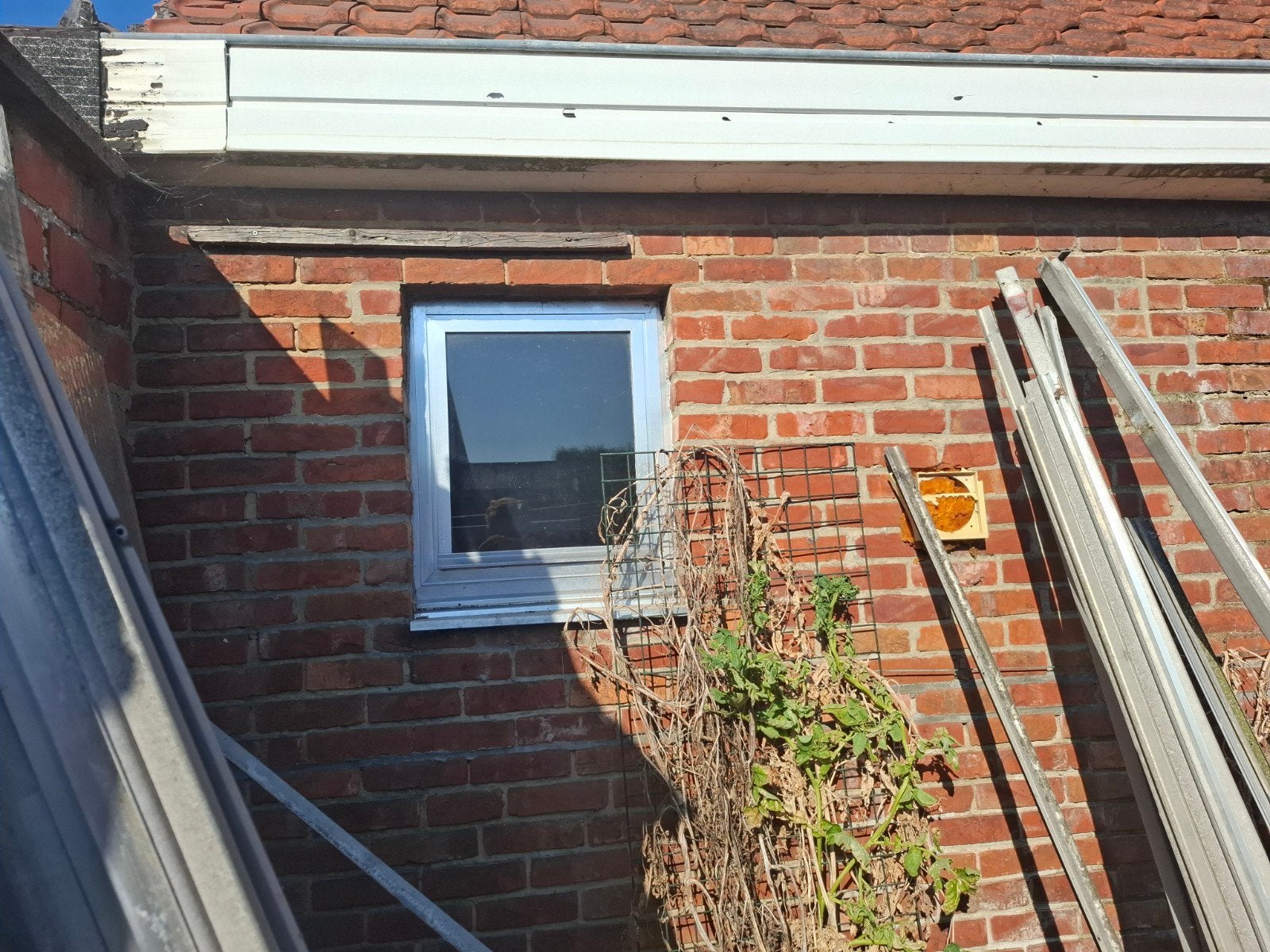 Alu.raam  - enkel glas - re-draaiend, Fenêtre de façade ou Vitre, Enlèvement, Utilisé, Moins de 80 cm