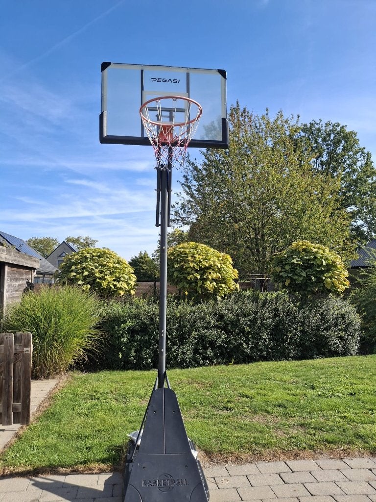 Pegasi basketbalpaal Home Pro 2.30 - 3.05, Sport en Fitness, Ophalen, Gebruikt, Ring, Bord of Paal