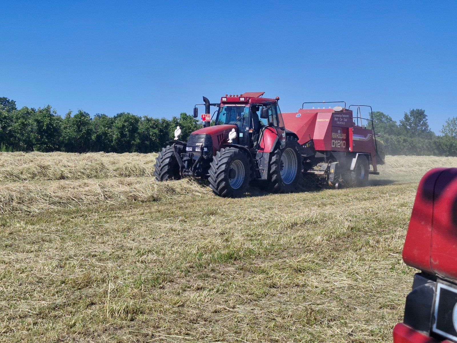 Mooi droog hooi 2026, Dieren en Toebehoren, Paarden