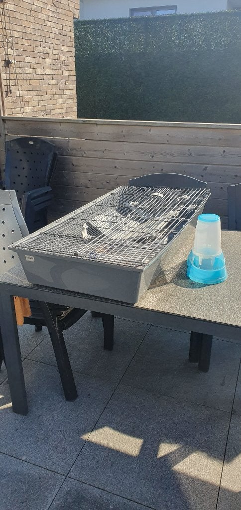 Ferplast Rabbit 100 Knaagdierenkooi, Dieren en Toebehoren, Kooi, Gebruikt, Cavia, 75 tot 110 cm