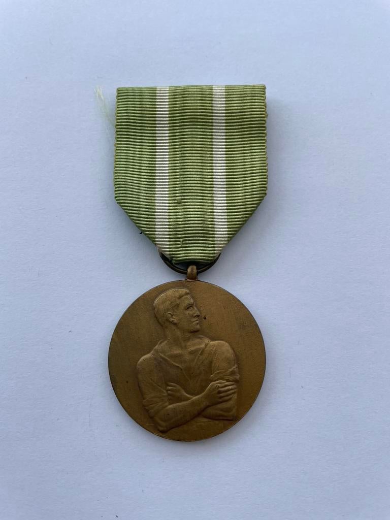 Lot 7: Medaille 40-45 Frosan Victi nunquam servi, Verzamelen, Militaria | Tweede Wereldoorlog, Ophalen of Verzenden