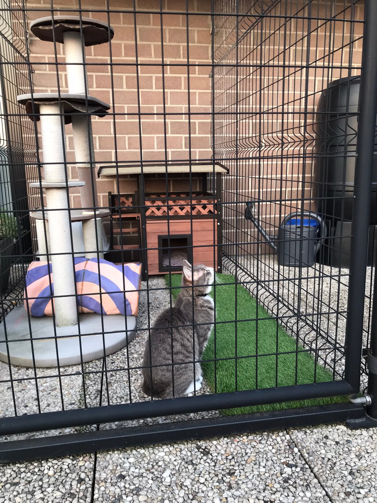Poezenkennel voor buiten, Enlèvement, Utilisé