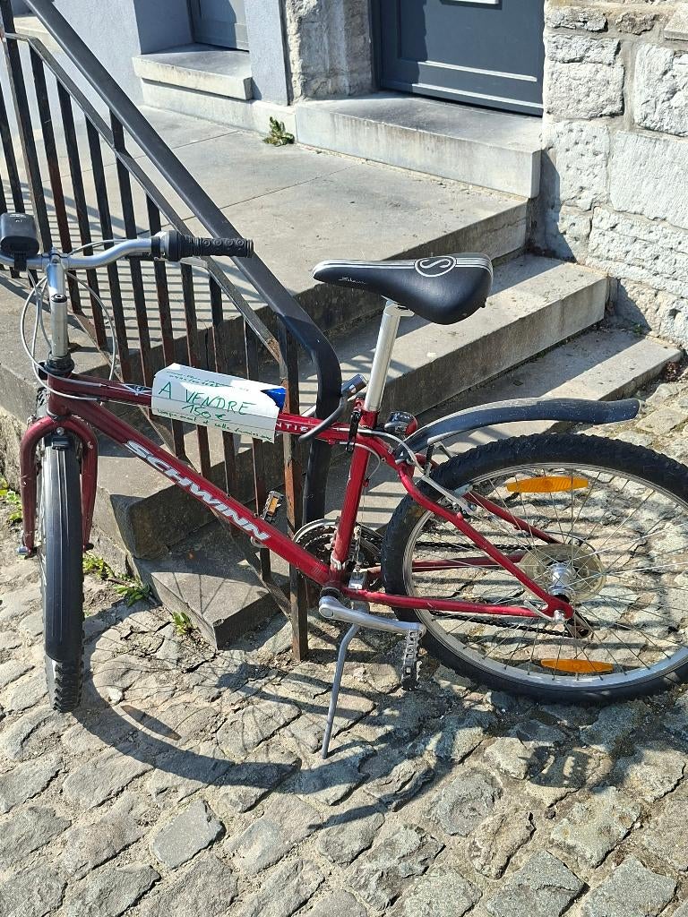 Middelgrote fiets, Fietsen en Brommers, Ophalen, Gebruikt, 57 cm of meer, Heren