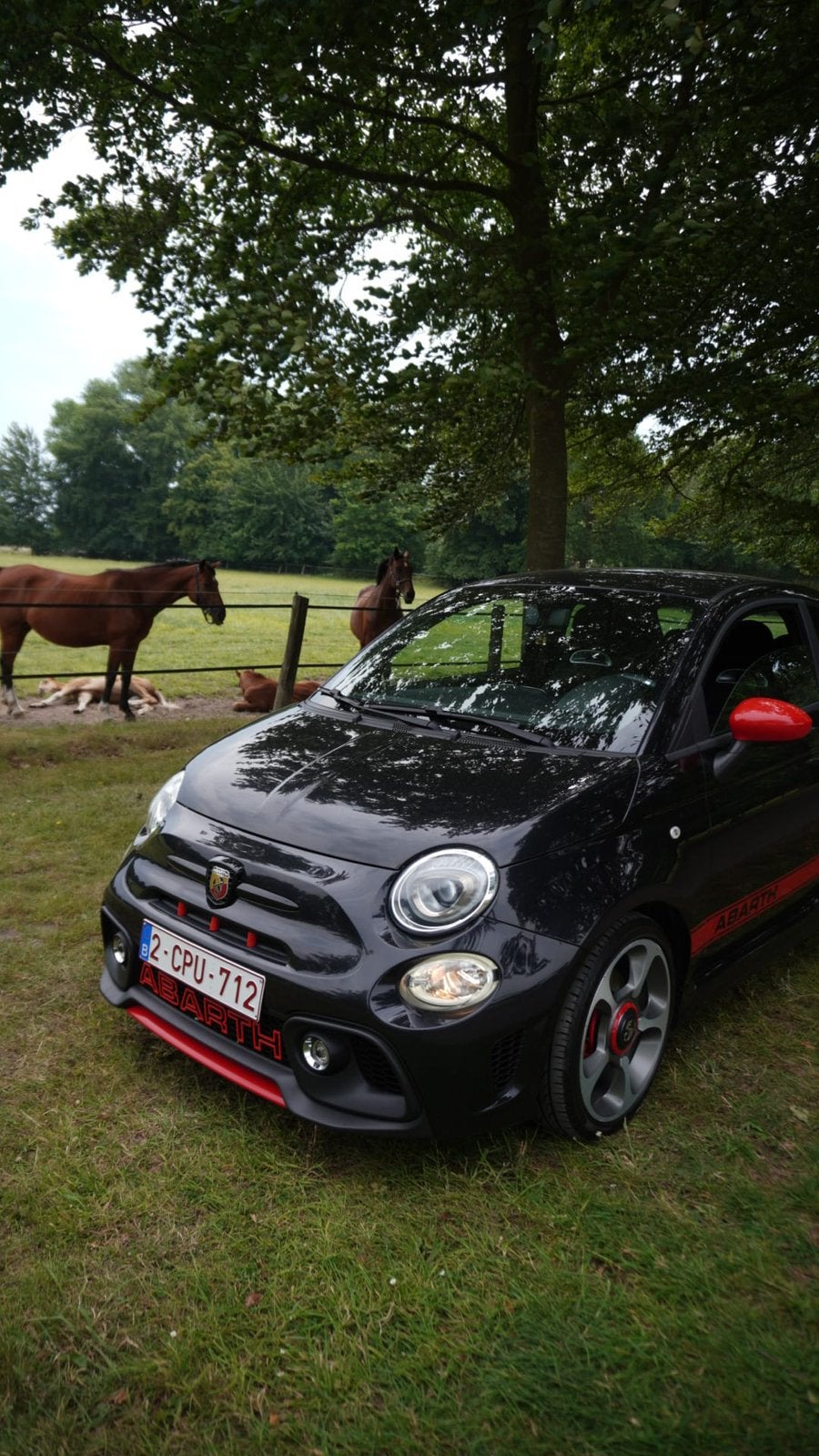 Abarth, Autos, Achat, Euro 6, Noir, Particulier