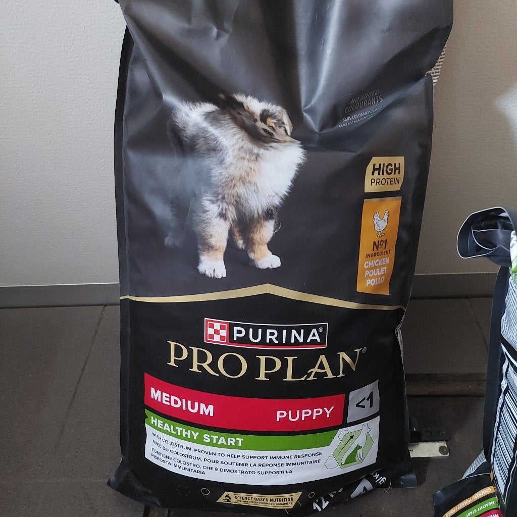 Purina Pro Plan Puppy Medium – 19 kg –  wegens intolerantie, Enlèvement, Chien