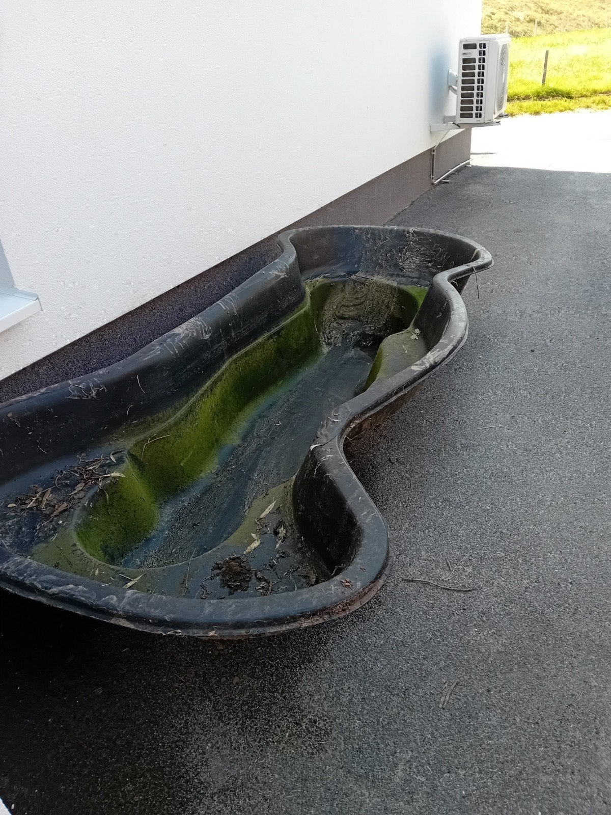 Gratis vijver, Jardin & Terrasse, Étangs, Enlèvement