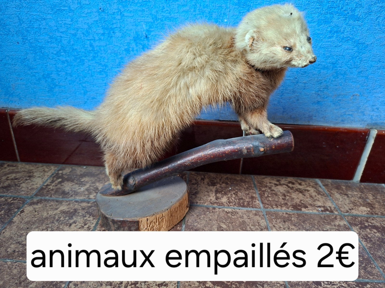 animaux, Ophalen