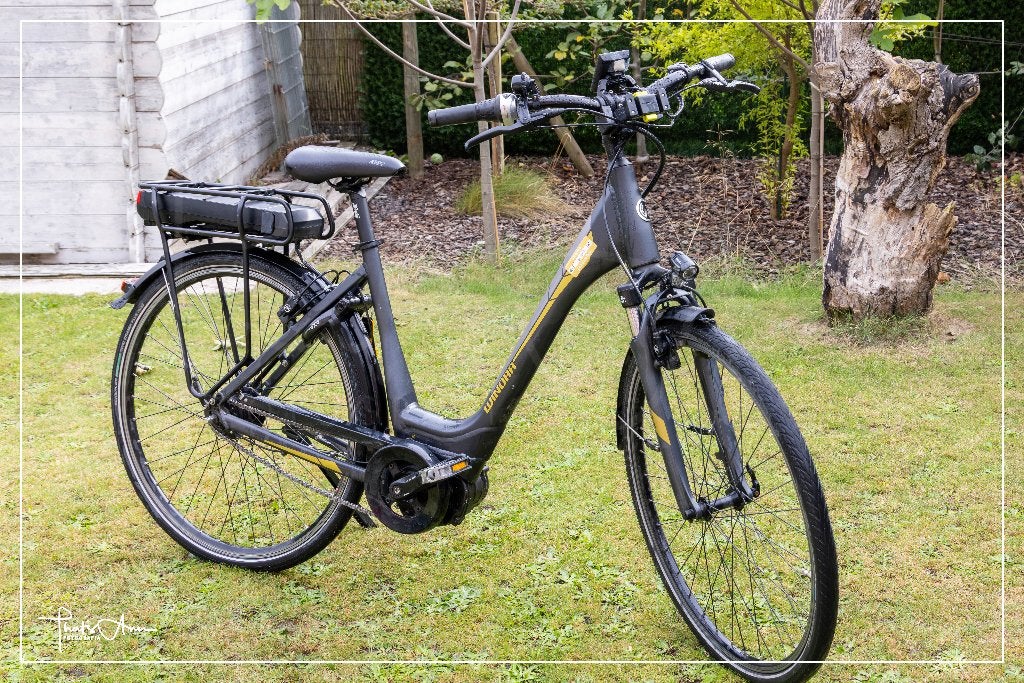 Vélo électrique Winora, Autres marques, Vitesses, Enlèvement, Utilisé