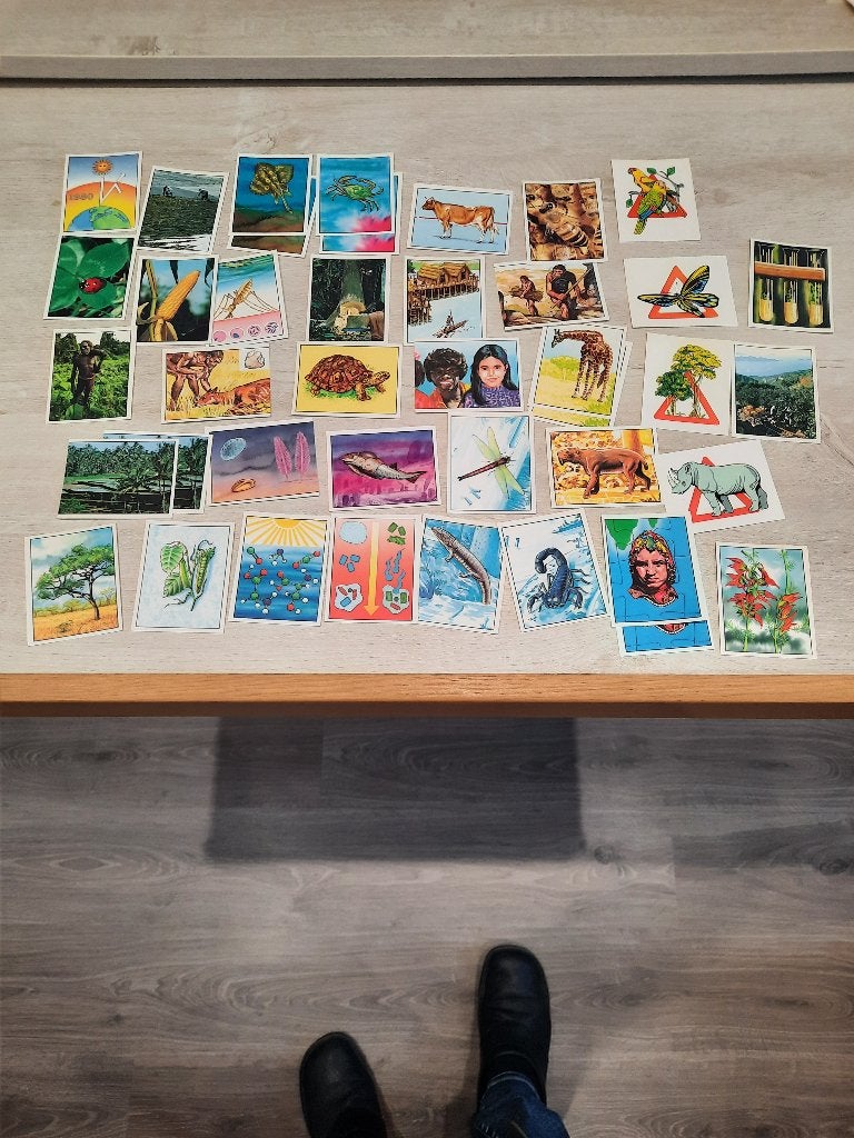 Panini WWF Living on Earth 1990 41 originele stickers, Hobby en Vrije tijd, Stickers en Plaatjes, Ophalen of Verzenden, Zo goed als nieuw