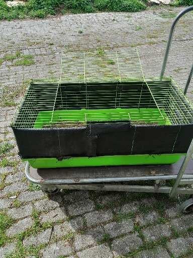 Konijnenhok voor allerlei doeleinden, Janvier, Plusieurs animaux