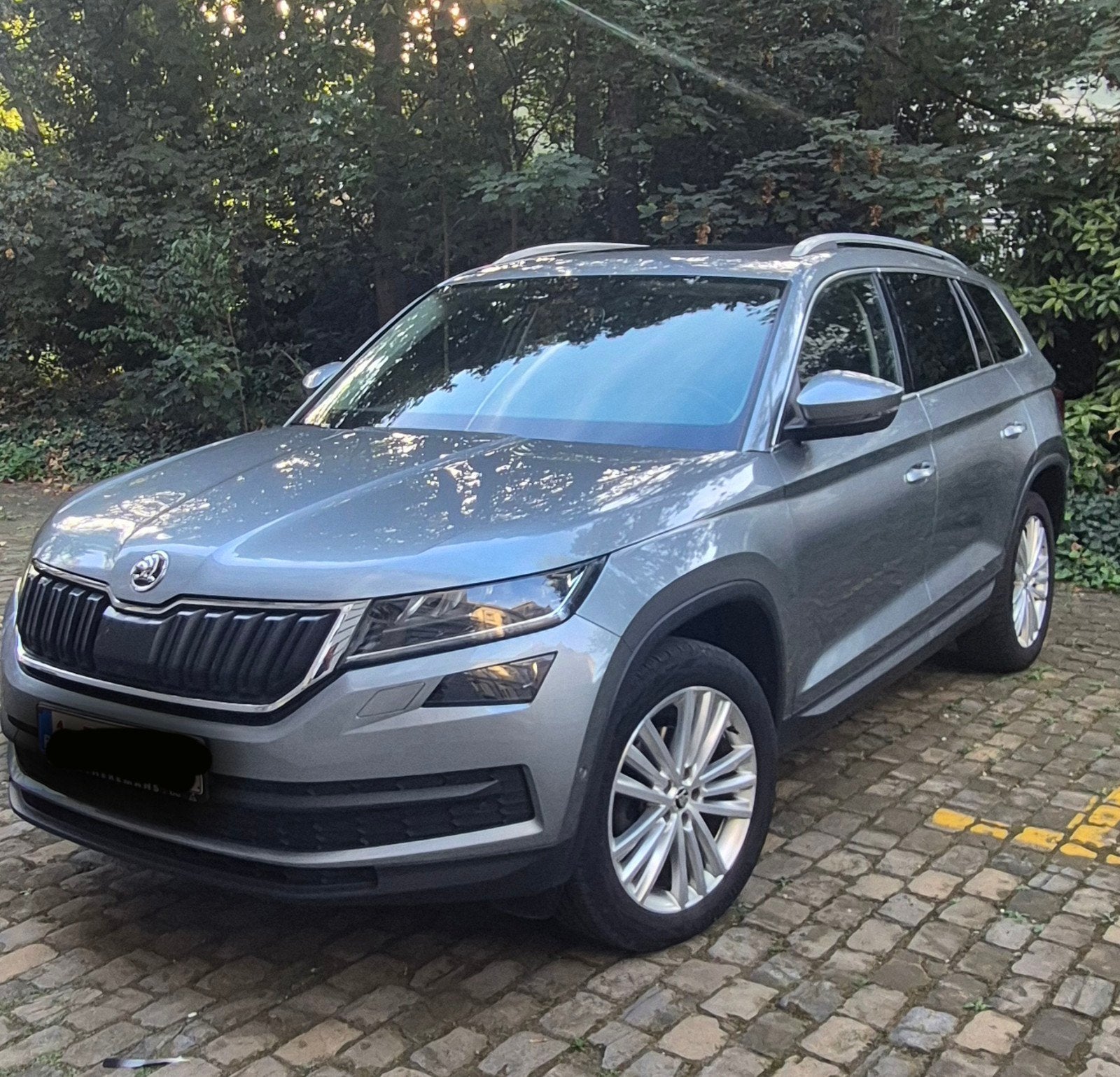 Skoda Kodiaq, Auto's, Automaat, 7 zetels, Leder, Diesel