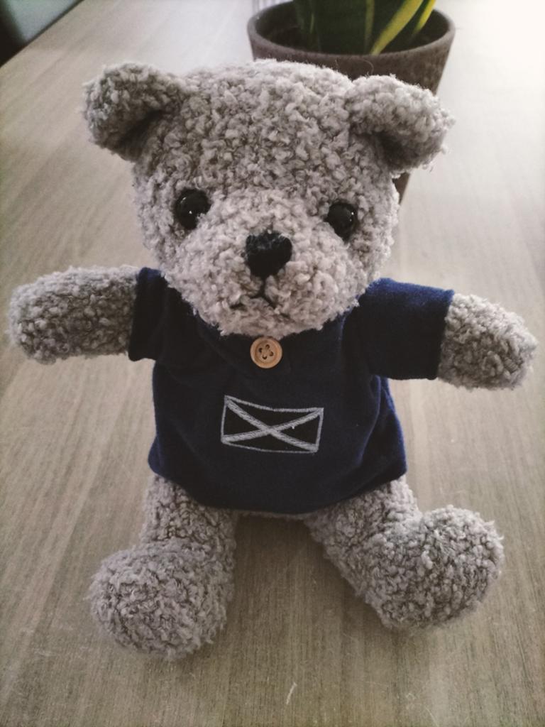 Knuffelbeer met blauw truitje, Ophalen of Verzenden